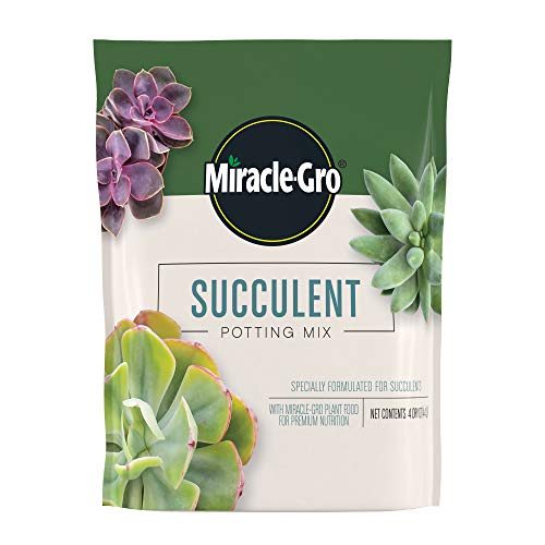 Miracle-Gro Succulent Potting Mix: Fertilized Soil with Premium Nutrit