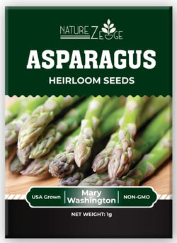 Asparagus Seeds for Planting, 50 Mary Washington Garden Vegetable Seeds