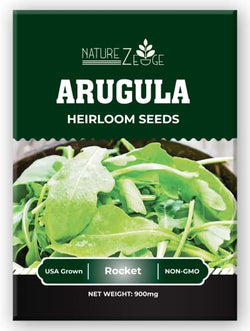 Arugula Seeds for Planting, 350 Arugula Rocket Seeds