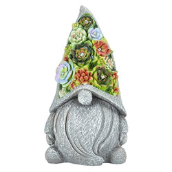 Garden Statues Gnome Figurine with Succulent and LED Lights