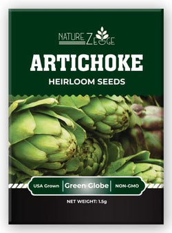 Artichoke Seeds for Planting, Green Globe Artichoke Seeds