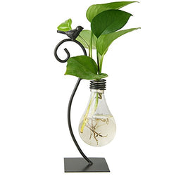 Marbrasse Plant Propagation Stations with Wooden Stand, Desktop Plant Terrarium Holder Bulb Vase