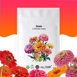 Zinnia Seeds - California Giants Mix - 4,000 Seeds - Mixed Colors and Large Blooms