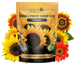 NatureZ Edge 1300+ Sunflower Seeds Variety Pack, 2Oz