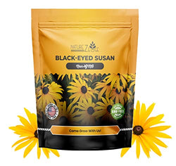 Black Eyed Susan Seeds for Planting, 1 Ounce