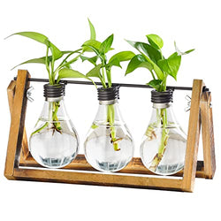 Marbrasse Plant Propagation Stations with Wooden Stand, Desktop Plant Terrarium Holder Bulb Vase