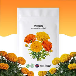 Marigold African Crackerjack Seeds - 750 Seeds - Beautiful Huge Orange and Yellow Blooms