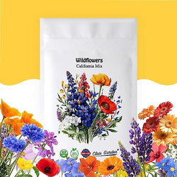 California Wildflower Mix - 30,000 Seeds - 17 Varieties - No Fillers