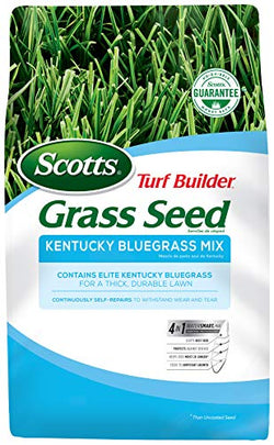 Scotts Turf Builder Grass Seed Kentucky Bluegrass Mix - 7 lb.